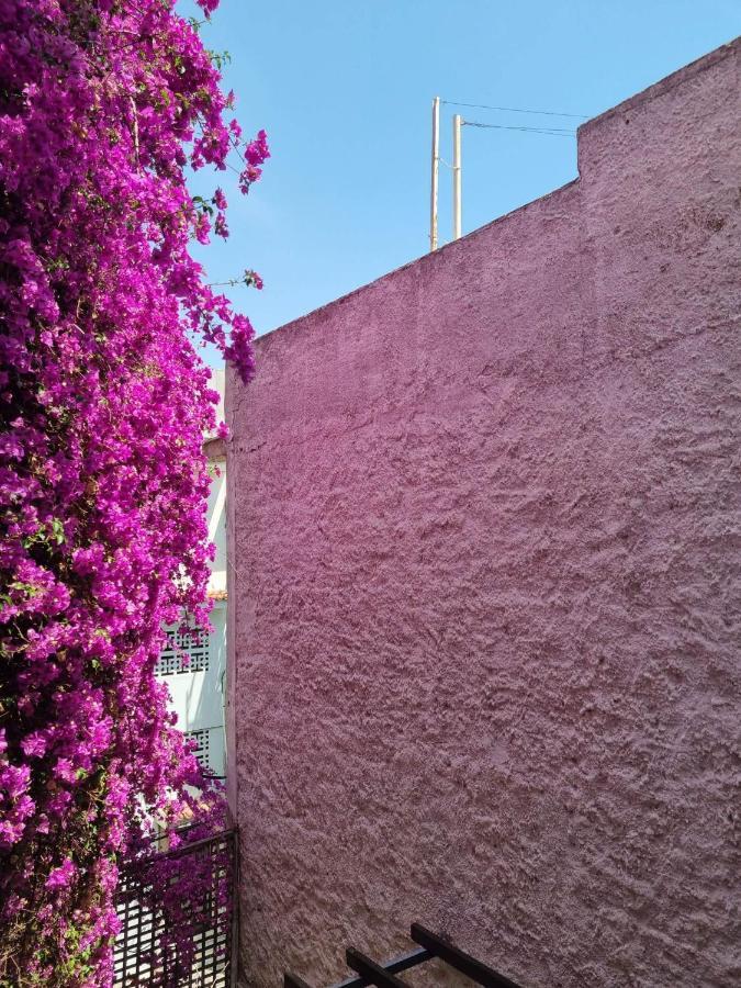 Canto-Home Alongside The Acropolis Atina Dış mekan fotoğraf